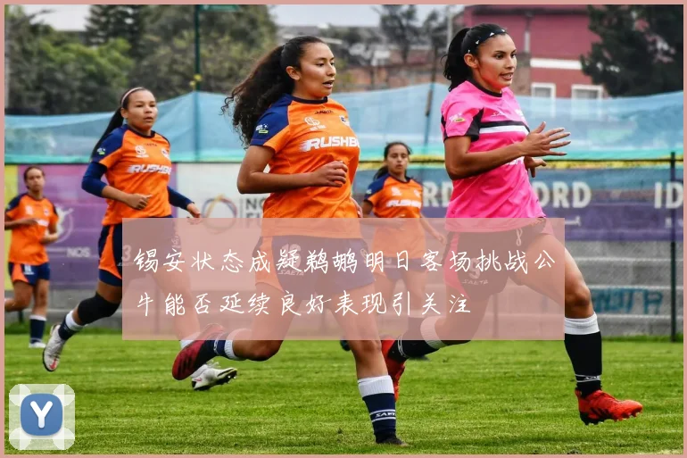 锡安状态成疑鹈鹕明日客场挑战公牛能否延续良好表现引关注
