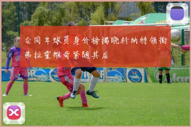 合同年球员身价榜揭晓科纳特领衔弗拉霍维奇紧随其后
